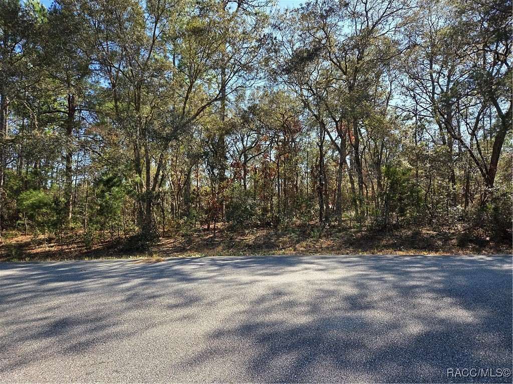0.31 Acres of Land for Sale in Dunnellon, Florida