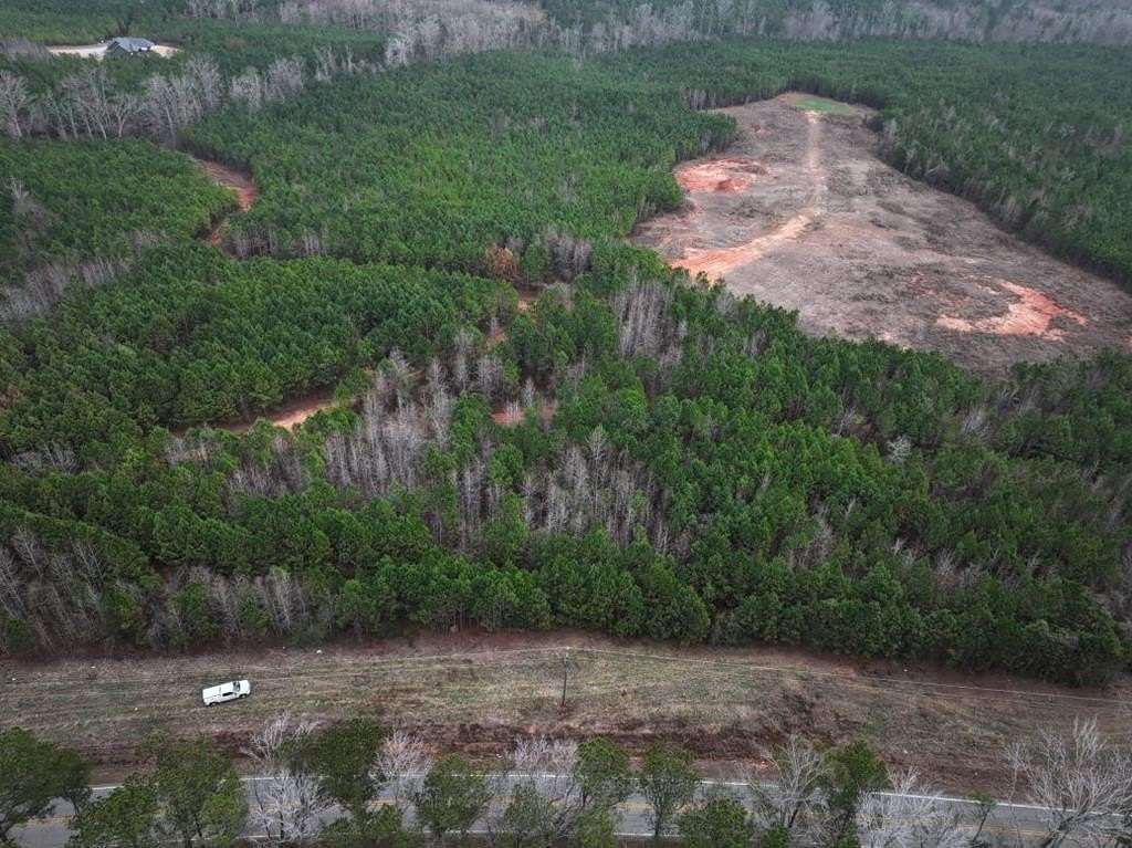 12 Acres of Land for Sale in Hamilton, Georgia