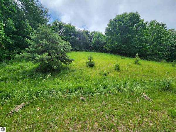 1.16 Acres of Residential Land for Sale in Beulah, Michigan