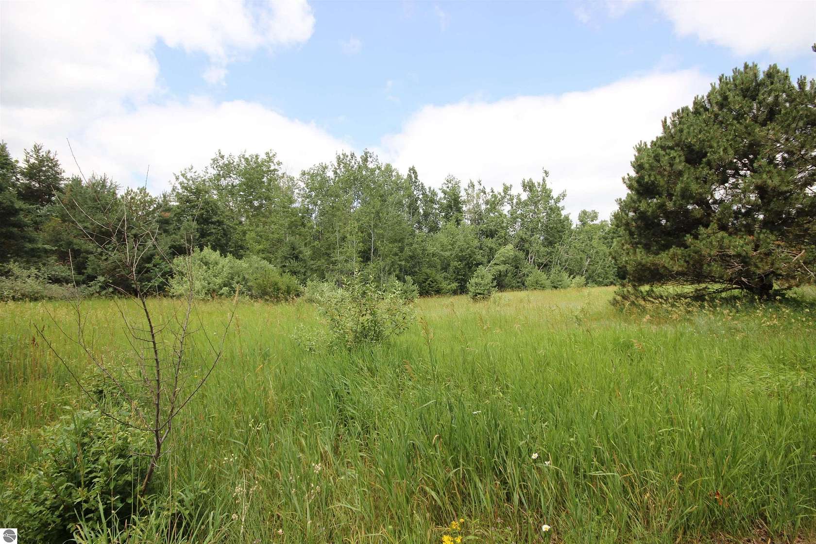 5.25 Acres of Land with Home for Sale in Traverse City, Michigan