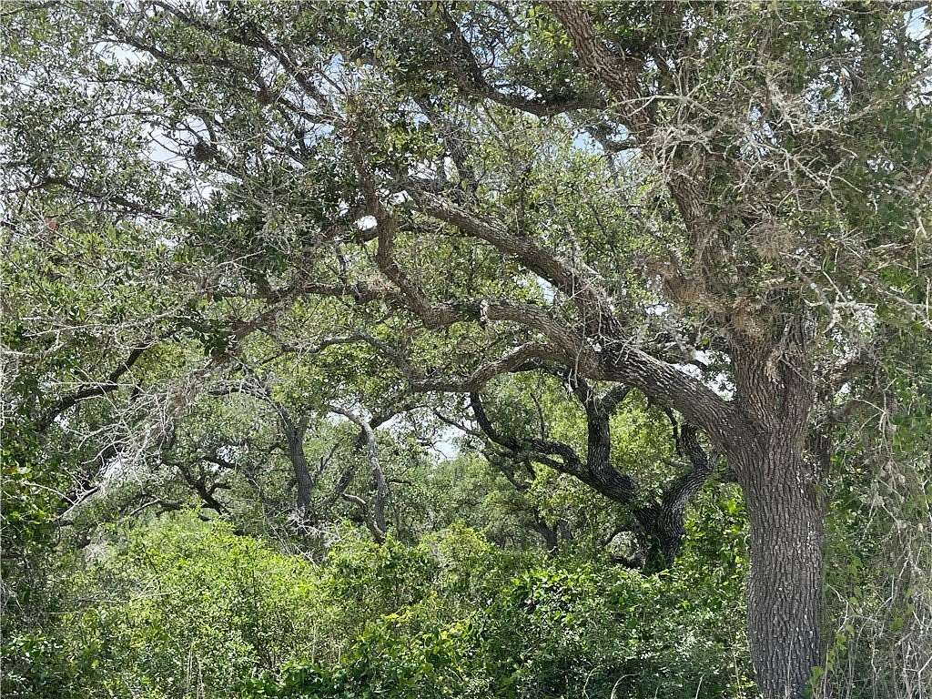 1.25 Acres of Residential Land for Sale in Rockport, Texas