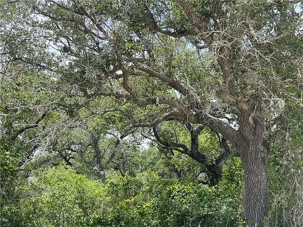 1.25 Acres of Residential Land for Sale in Rockport, Texas