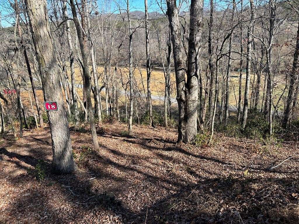 1.38 Acres of Land for Sale in Warne, North Carolina