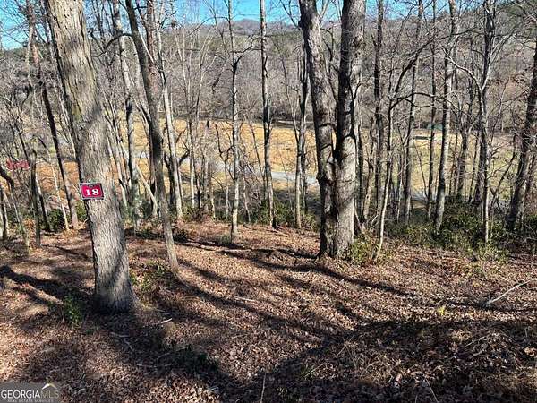 1.38 Acres of Land for Sale in Warne, North Carolina