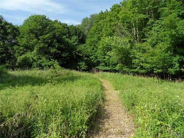11.9 Acres of Land for Sale in Whitesboro, New York