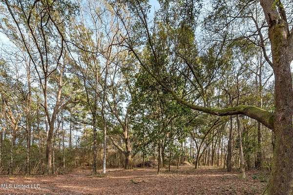 15 Acres of Agricultural Land for Sale in Biloxi, Mississippi