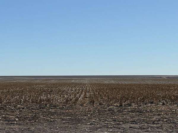 440 Acres of Agricultural Land for Sale in Brewster, Kansas
