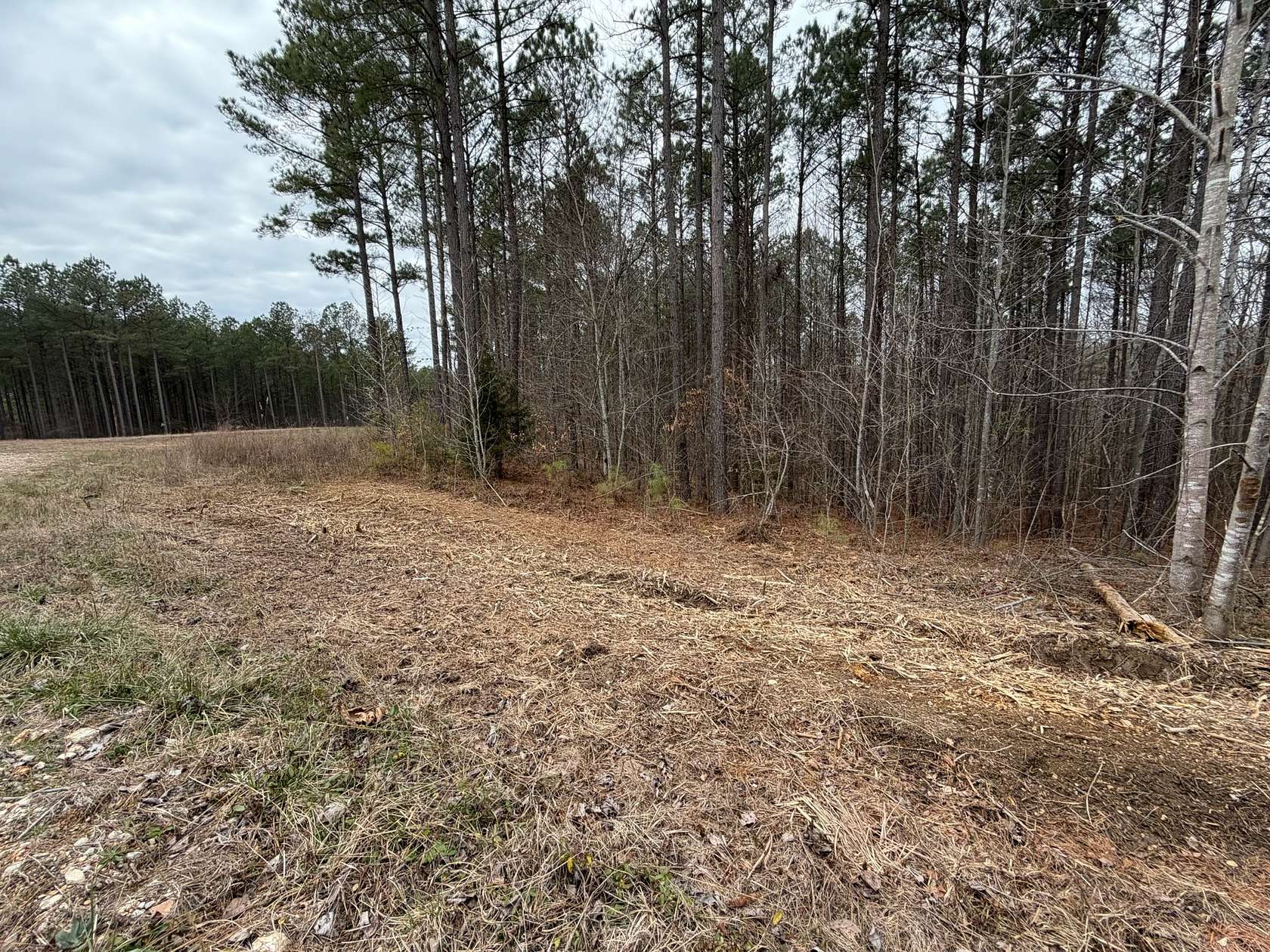 3 Acres of Residential Land for Sale in Reagan, Tennessee