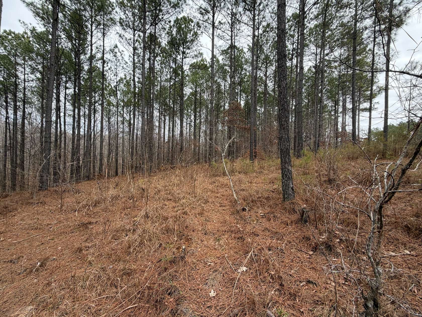 6.3 Acres of Residential Land for Sale in Reagan, Tennessee