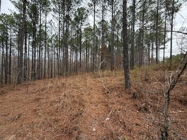 6.3 Acres of Residential Land for Sale in Reagan, Tennessee