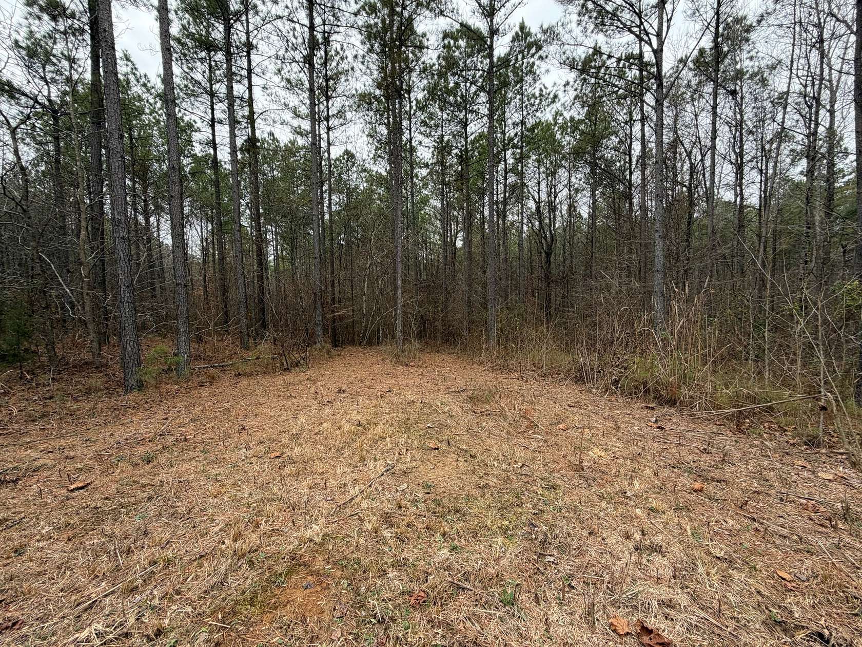 9.3 Acres of Residential Land for Sale in Reagan, Tennessee