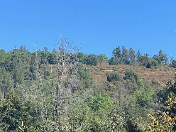 10.1 Acres of Land for Sale in Kelseyville, California