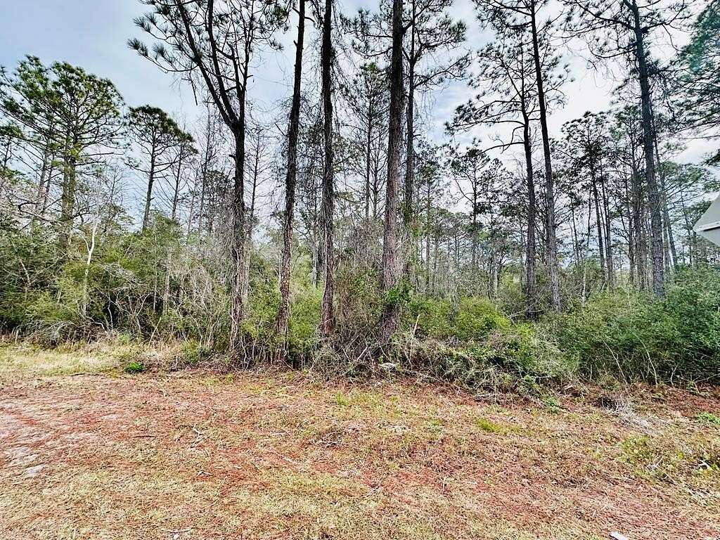 9 Acres of Residential Land for Sale in Carrabelle, Florida