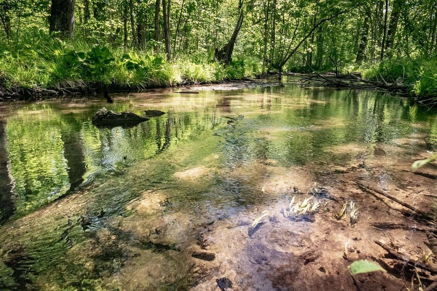 50 Acres of Recreational Land for Sale in Redgranite, Wisconsin