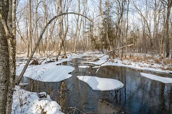 50 Acres of Recreational Land for Sale in Redgranite, Wisconsin