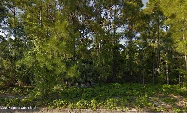 0.23 Acres of Residential Land for Sale in Palm Bay, Florida