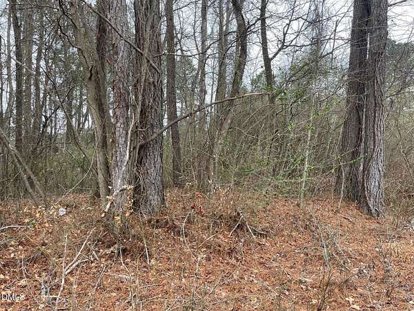 0.69 Acres of Residential Land for Sale in Bunnlevel, North Carolina