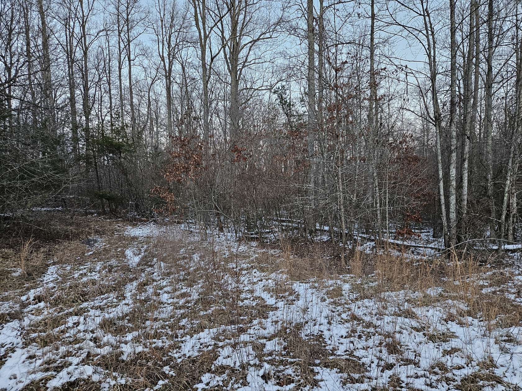 9.7 Acres of Residential Land for Sale in Crossville, Tennessee