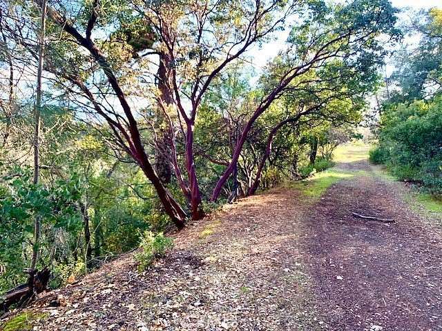 0.13 Acres of Residential Land for Sale in Nice, California