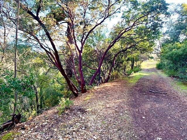 0.13 Acres of Residential Land for Sale in Nice, California