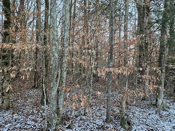24 Acres of Land for Sale in Walling, Tennessee