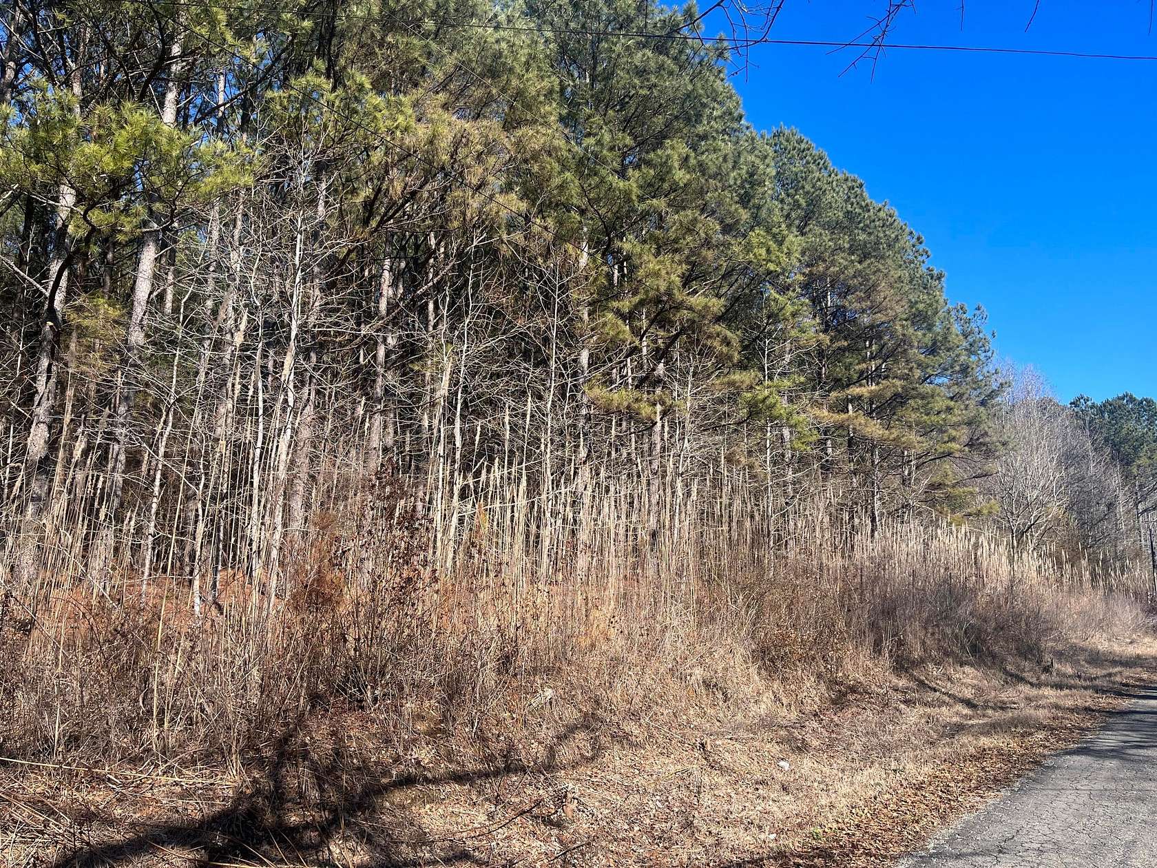 39 Acres of Land for Sale in Nauvoo, Alabama