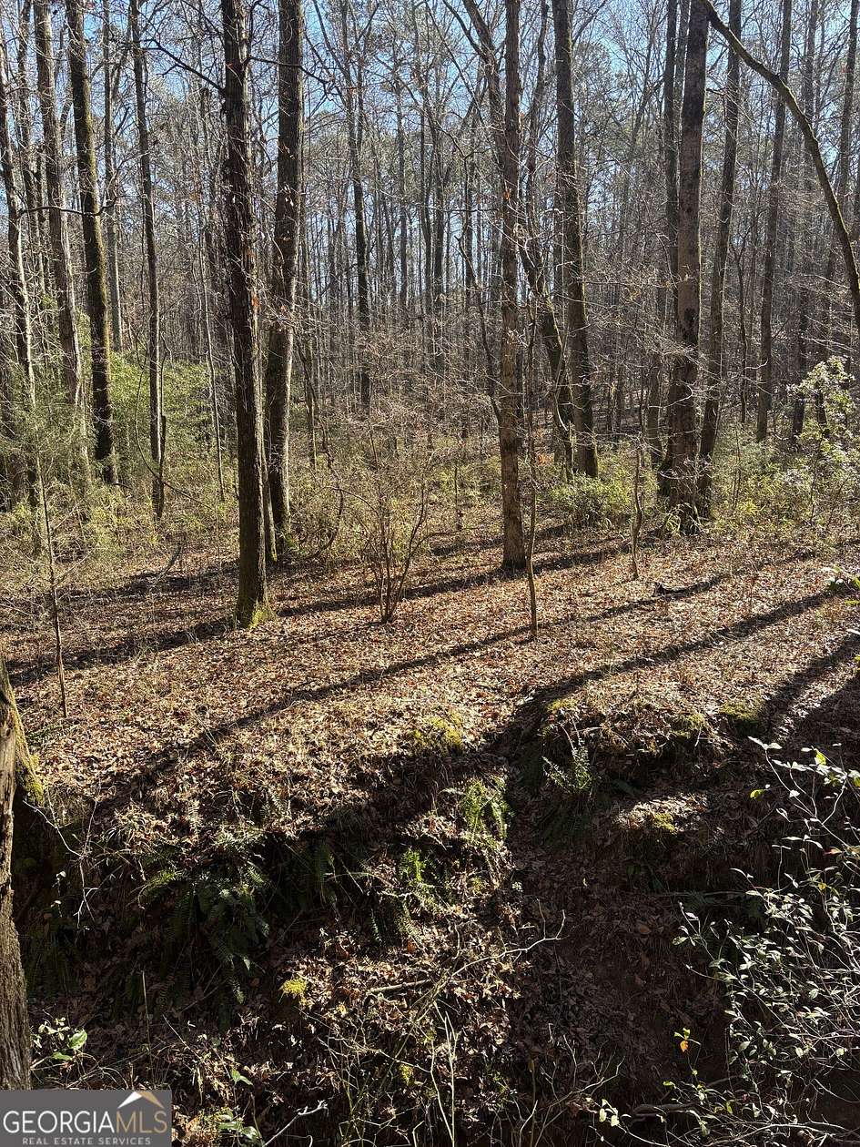24 Acres of Recreational & Residential Land for Sale in Warm Springs, Georgia