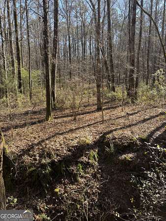 24 Acres of Recreational & Residential Land for Sale in Warm Springs, Georgia