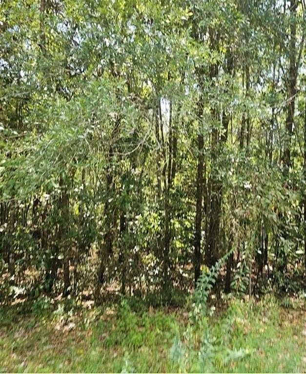 0.4 Acres of Land for Sale in Mobile, Alabama