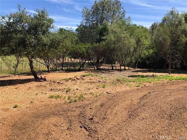 17.7 Acres of Agricultural Land for Sale in Kelseyville, California