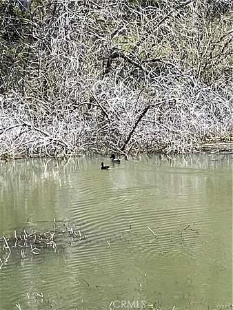 19.4 Acres of Recreational Land for Sale in Lower Lake, California