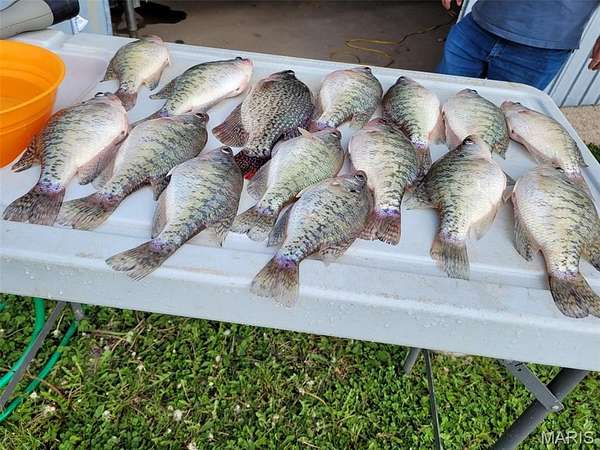 15 Acres of Land for Sale in Perry, Missouri