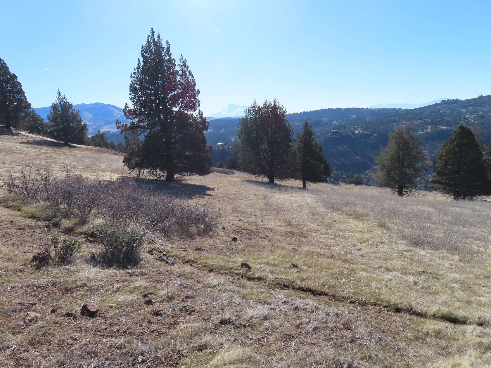 17.8 Acres of Land for Sale in Hornbrook, California
