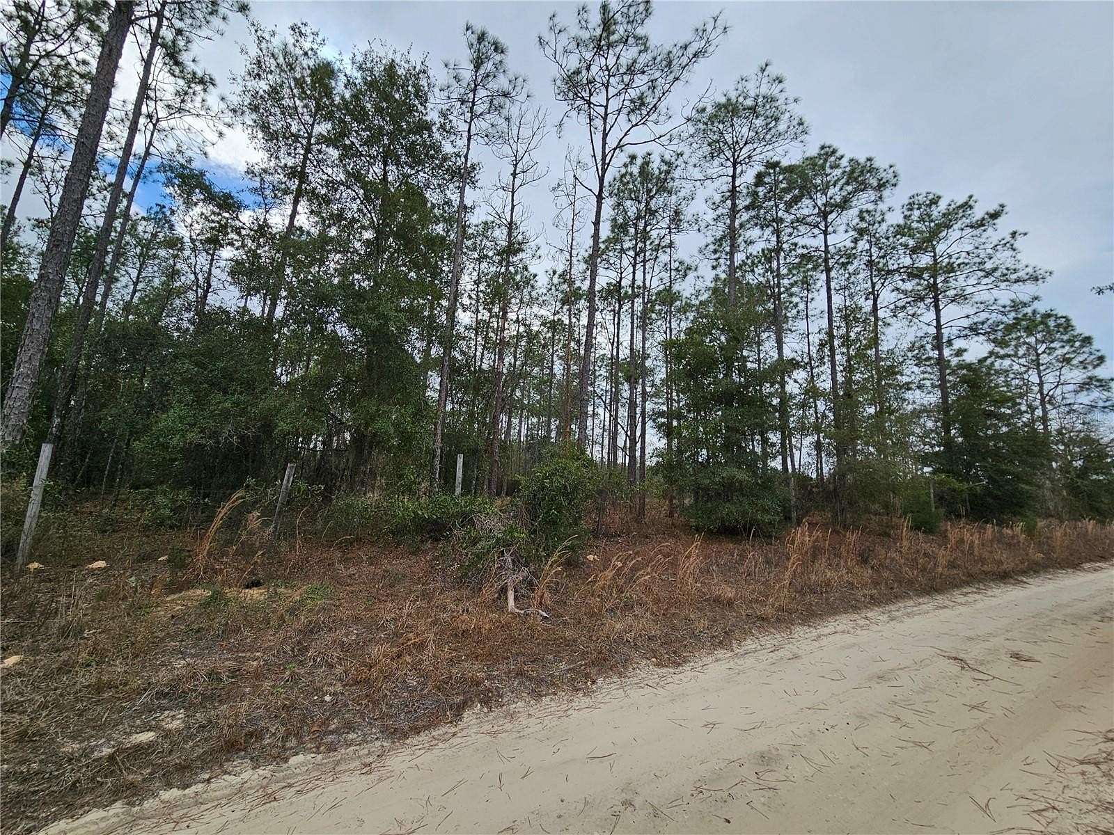 2 Acres of Residential Land for Sale in Williston, Florida