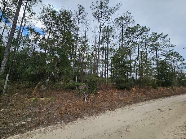 2 Acres of Residential Land for Sale in Williston, Florida