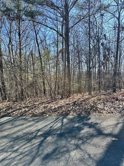0.74 Acres of Residential Land for Sale in Rock Spring, Georgia
