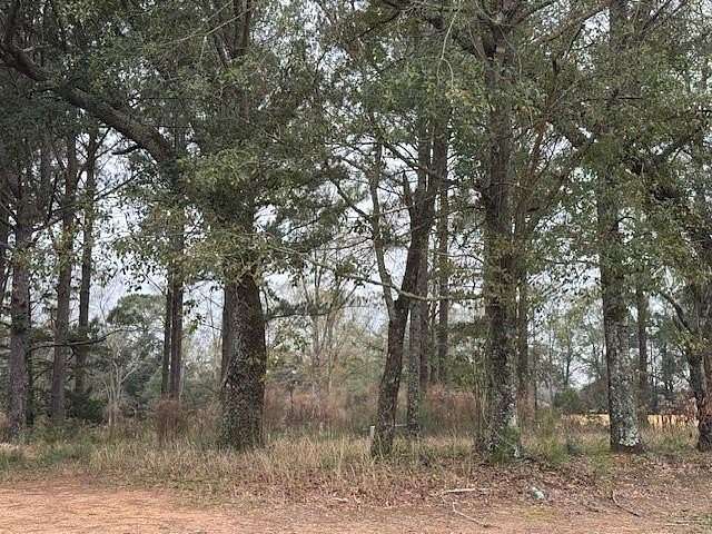 0.24 Acres of Residential Land for Sale in Mobile, Alabama