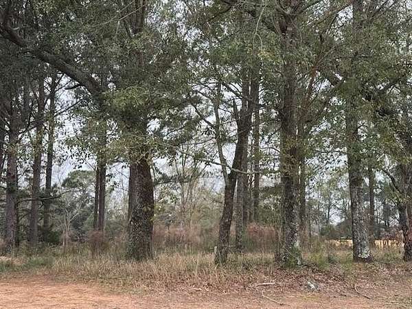 0.24 Acres of Residential Land for Sale in Mobile, Alabama