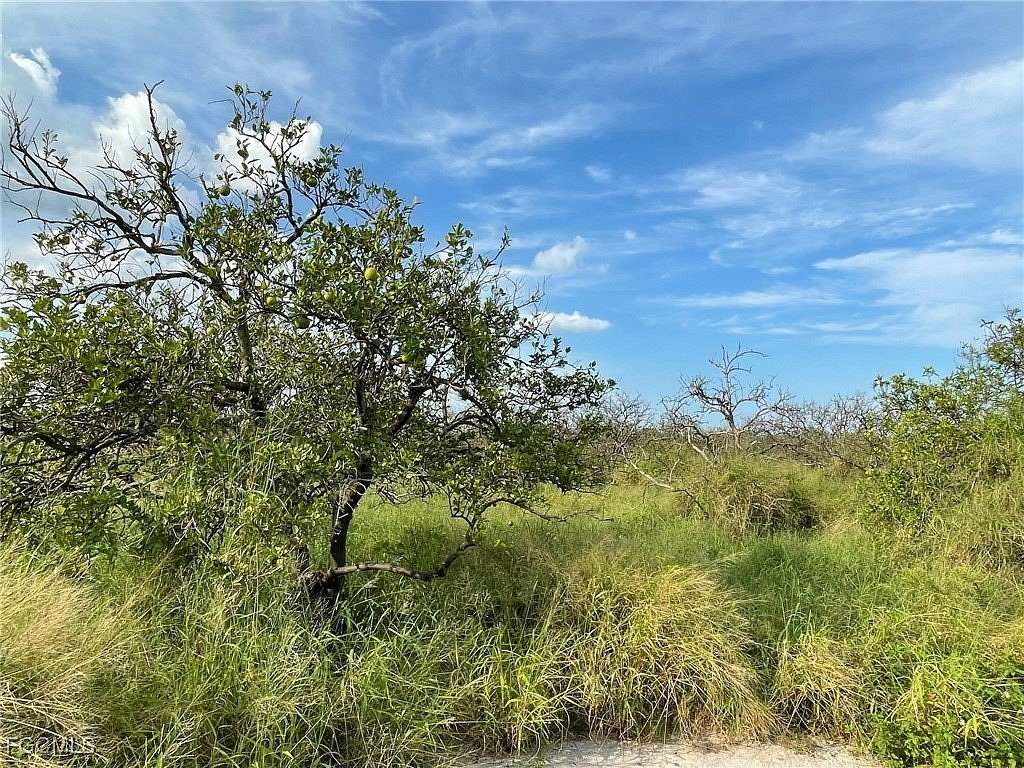 13.3 Acres of Land for Sale in LaBelle, Florida