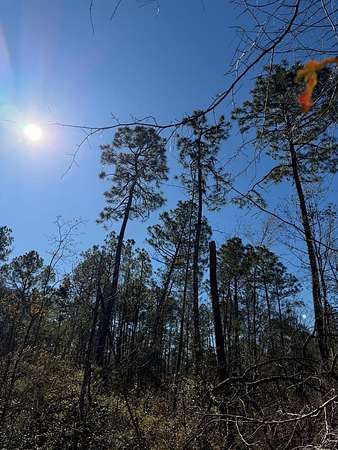 11.9 Acres of Recreational & Residential Land for Sale in Naylor, Georgia