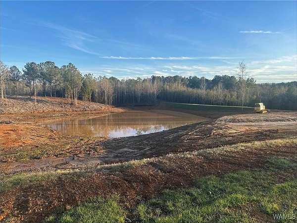 28 Acres of Land for Sale in Northport, Alabama