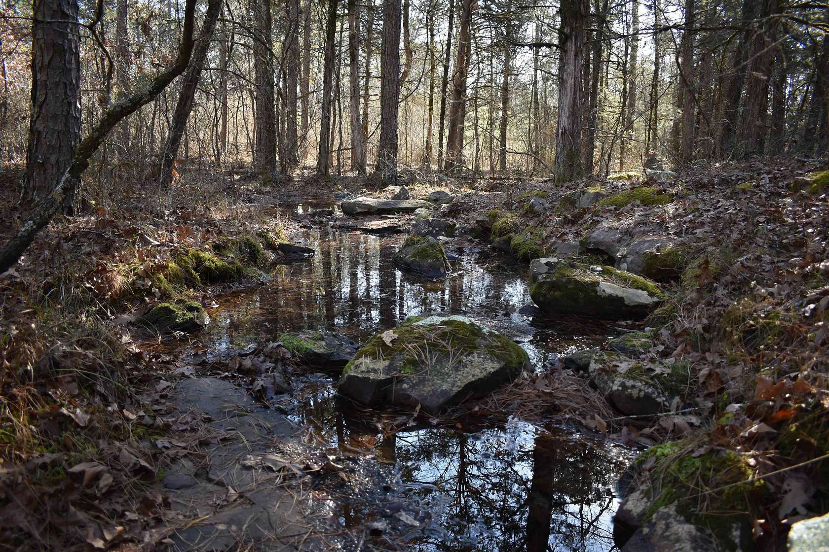 40 Acres of Recreational Land for Sale in Delaware, Arkansas