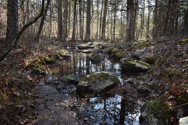 40 Acres of Recreational Land for Sale in Delaware, Arkansas