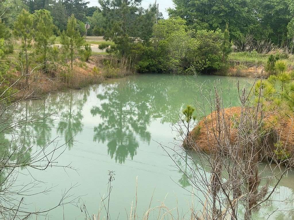 2.46 Acres of Residential Land for Sale in Rebecca, Georgia