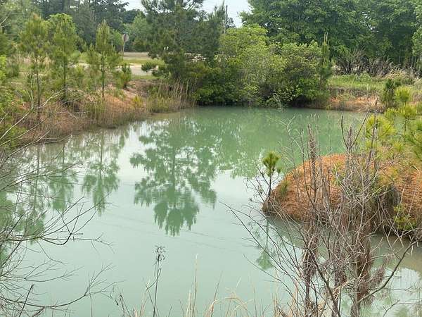 2.46 Acres of Residential Land for Sale in Rebecca, Georgia