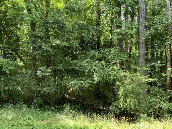0.69 Acres of Residential Land for Sale in Greensboro, Georgia