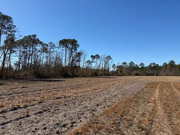 2.14 Acres of Residential Land for Sale in Naylor, Georgia