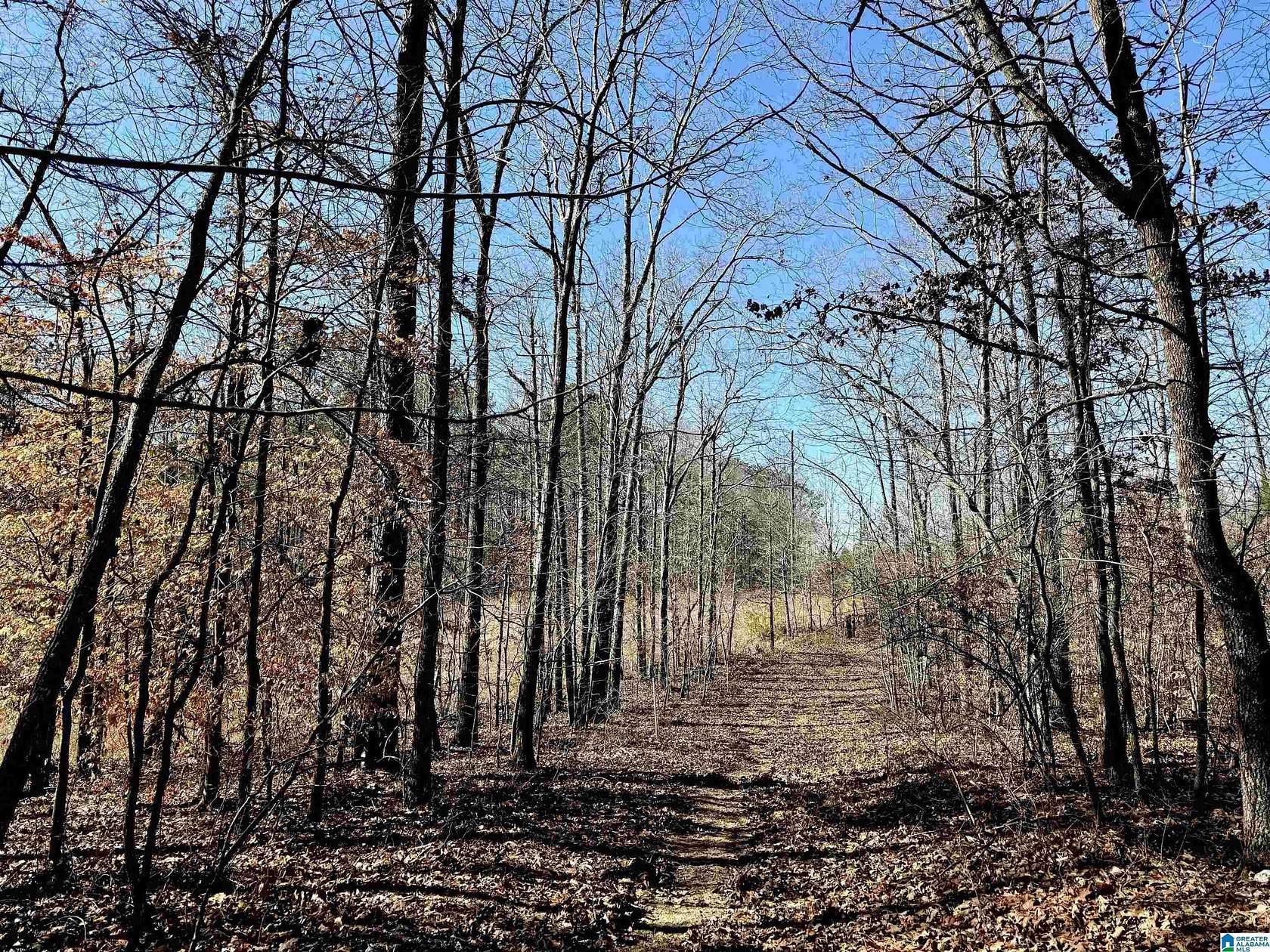 40 Acres of Recreational Land for Sale in Sylacauga, Alabama
