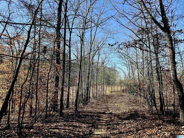 40 Acres of Recreational Land for Sale in Sylacauga, Alabama