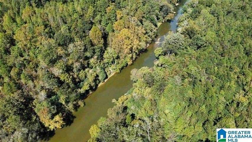 32 Acres of Recreational Land for Sale in Trafford, Alabama